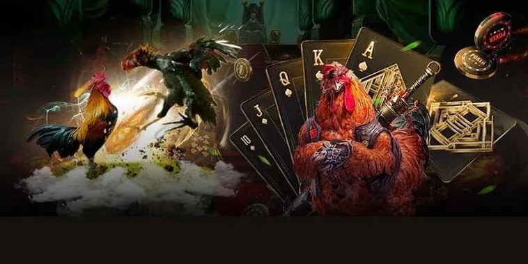 Đá Gà XocDia88 - Bí Kíp Thắng Lớn Cho Bet Thủ