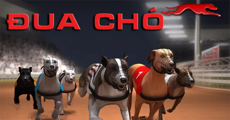 Cách Chơi Game Nhanh Đua Chó Tại XocDia88 Hiệu Quả Nhất